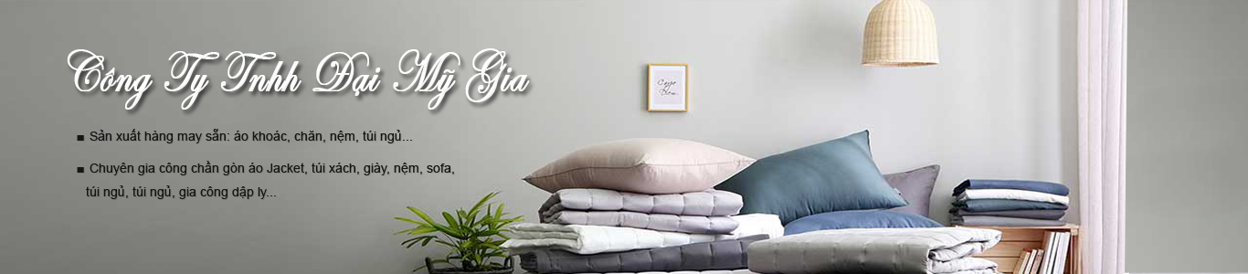 CÔNG TY TNHH MTV ĐẠI MỸ GIA 